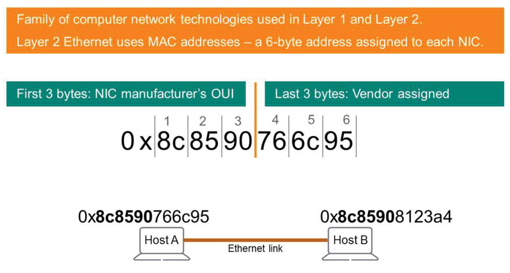 Family of computer network technologies used in Layer 1 and Layer 2. 
Layer 2 Ethernet uses MAC addresses — a 6-byte address assigned to each NIC. 
First 3 bytes: NIC manufacturer's OUI 
2 
3 
Last 3 bytes: Vendor assigned 
4 
5 
6 
ox8c8590766c95 
ox8c8590766c95 
Host A 
Ethernet link 
ox8c85908123a4 
Host B 