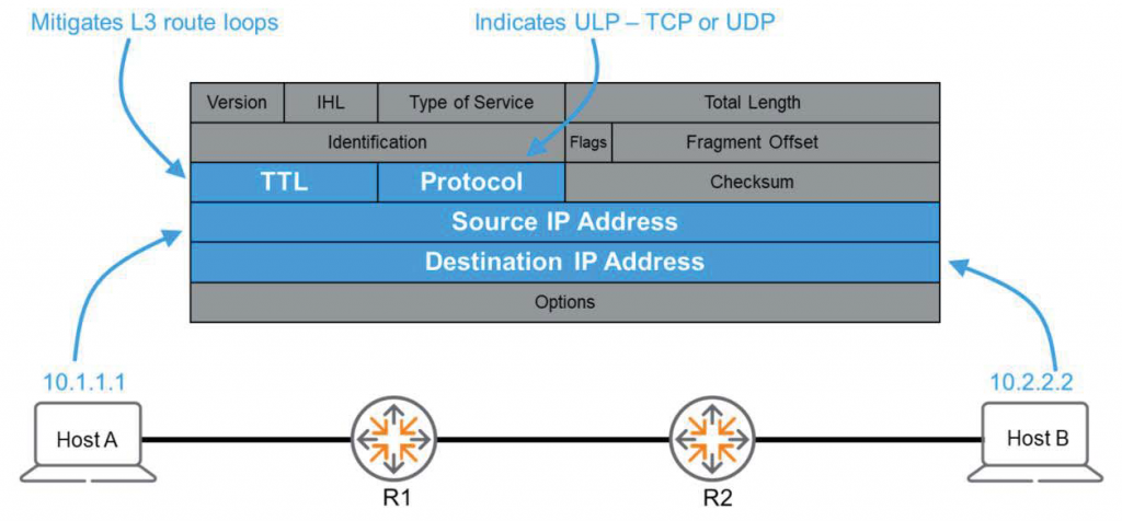 Mitigates L3 route loops 
Version 
10.1.1.1 
Host A 
Indicates IJLP 
Type of Service 
Identification 
Protocol 
Flags 
- TCP or UDP 
Total Length 
Fragment Offset 
Checksum 
Source IP Address 
Destination IP Address 
Options 
R2 
10.2.2.2 
Host B 